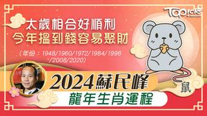 門口地毯顏色2024|2024龍年風水｜蘇民峰教大門地氈擺位 9大開門方位旺 